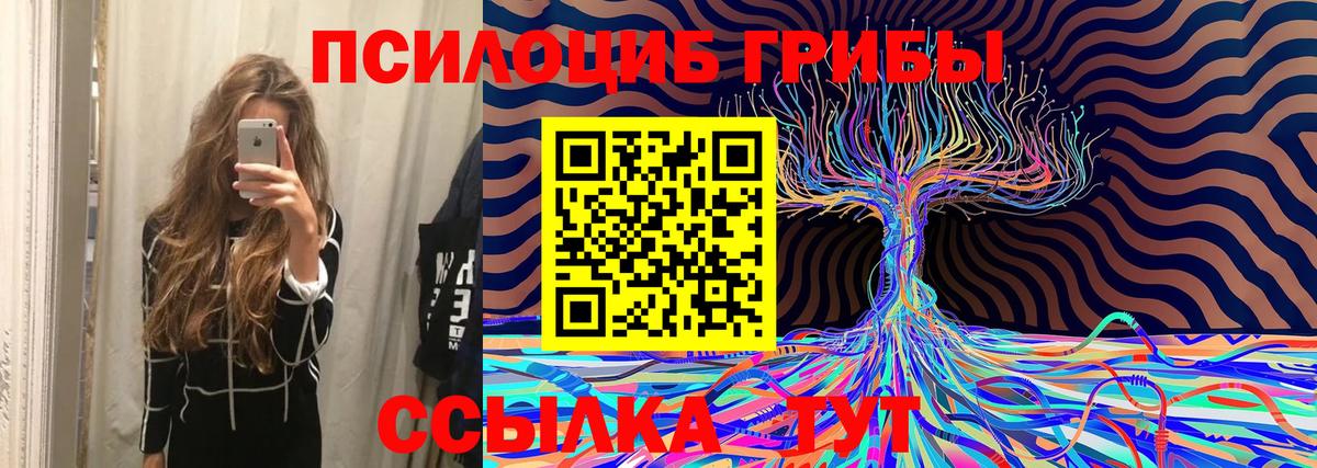 Псилоцибиновые грибы Psilocybe Алексин