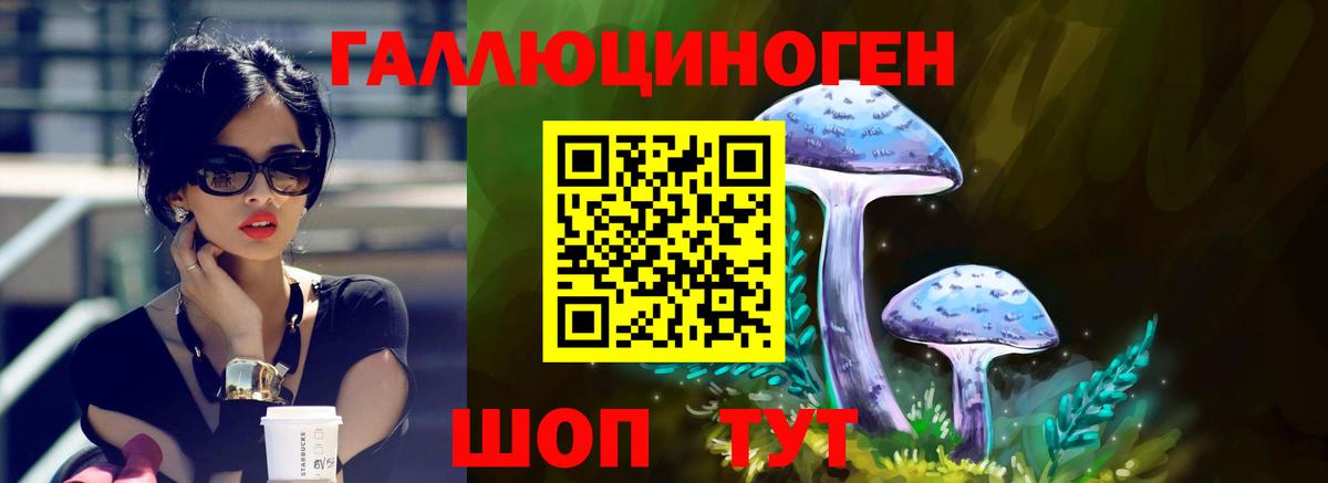 Алексин  Галлюциногенные грибы Psilocybe  Вход с VPN 